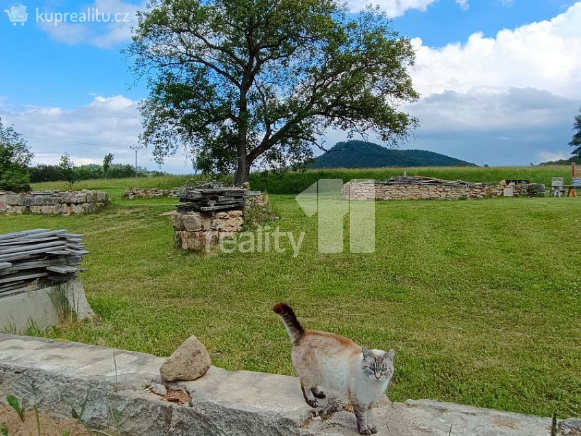 Prodej  stavebního pozemku 113691 m^2 Dubá, Dubá 