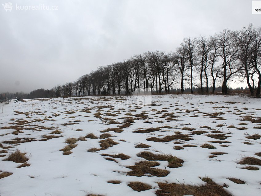 Prodej  stavebního pozemku 1506 m^2 Moldava, Moldava 