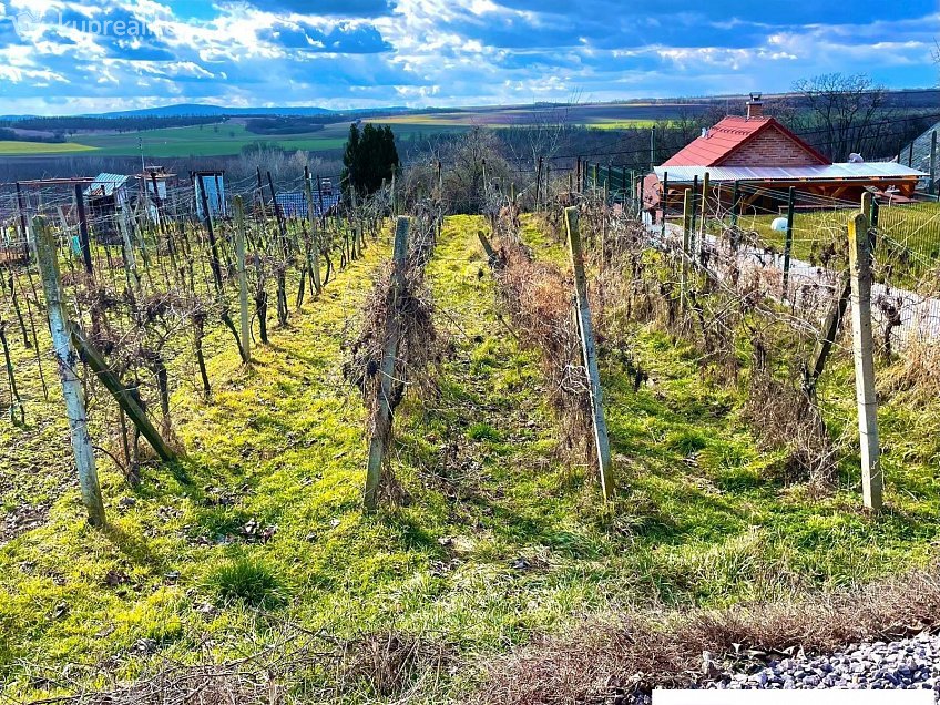 Prodej  vinného sklepu 87 m^2 Jaroslavice, Jaroslavice 