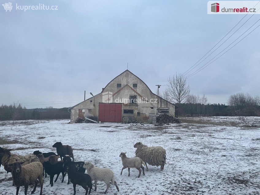 Prodej  zemědělských prostor 9480 m^2 Třebonín, Třebonín 