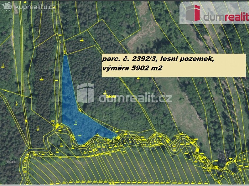 Prodej  lesa 19975 m^2 Luhačovice, Luhačovice 