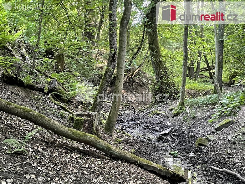 Prodej  lesa 19975 m^2 Luhačovice, Luhačovice 