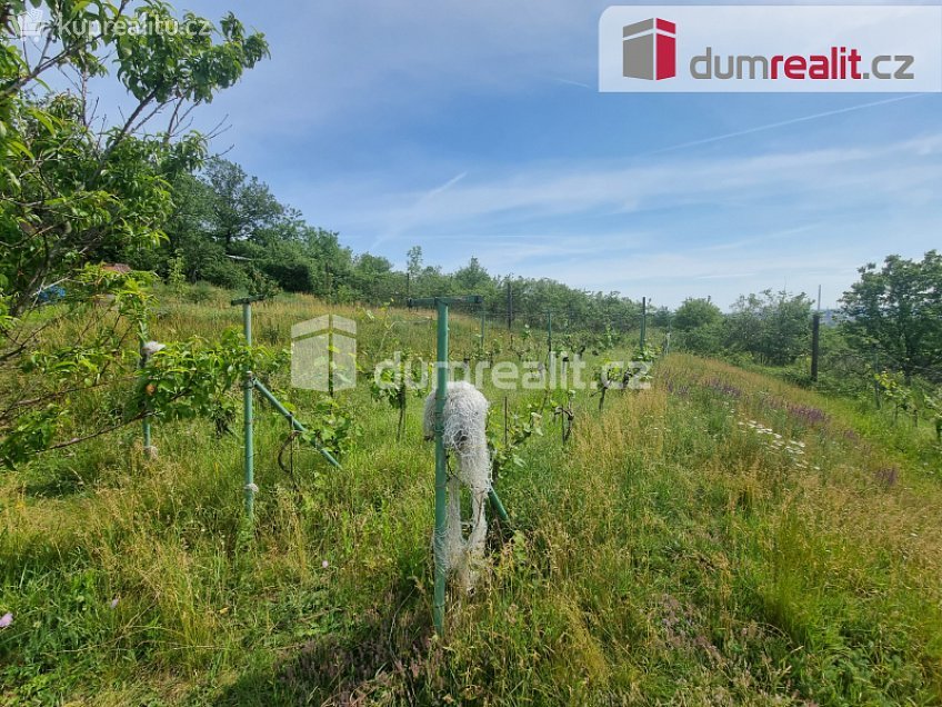 Pronájem  zahrady 220 m^2 Školní, Nelahozeves 